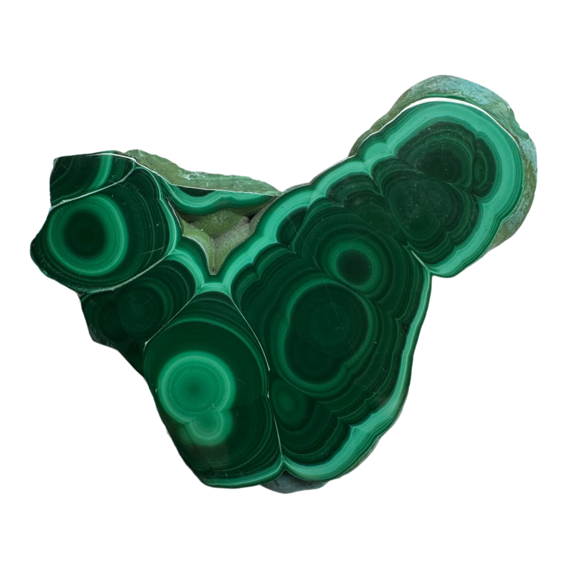 Polished Malachite Slice Specimen | Protection & Confidence