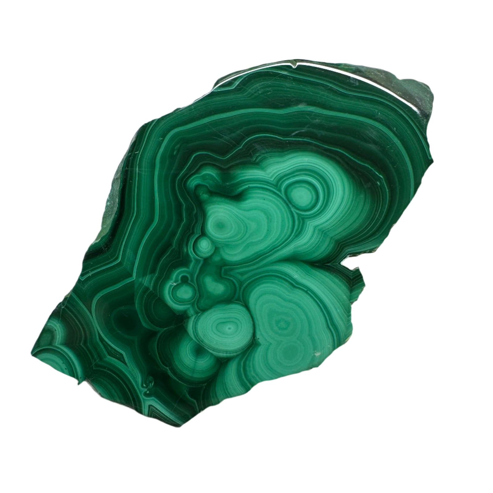 Polished Malachite Slice Specimen | Protection & Confidence
