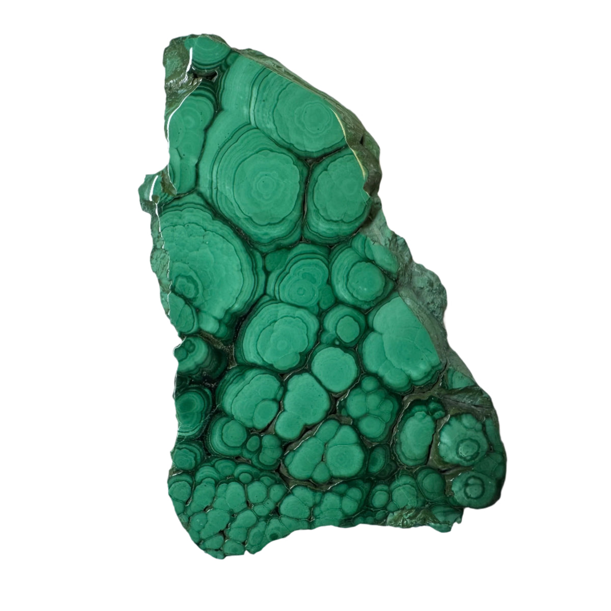 Polished Malachite Slice Specimen | Protection & Confidence
