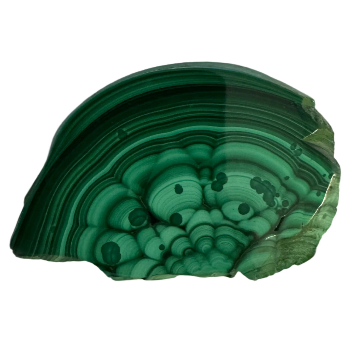Polished Malachite Slice Specimen | Protection & Confidence
