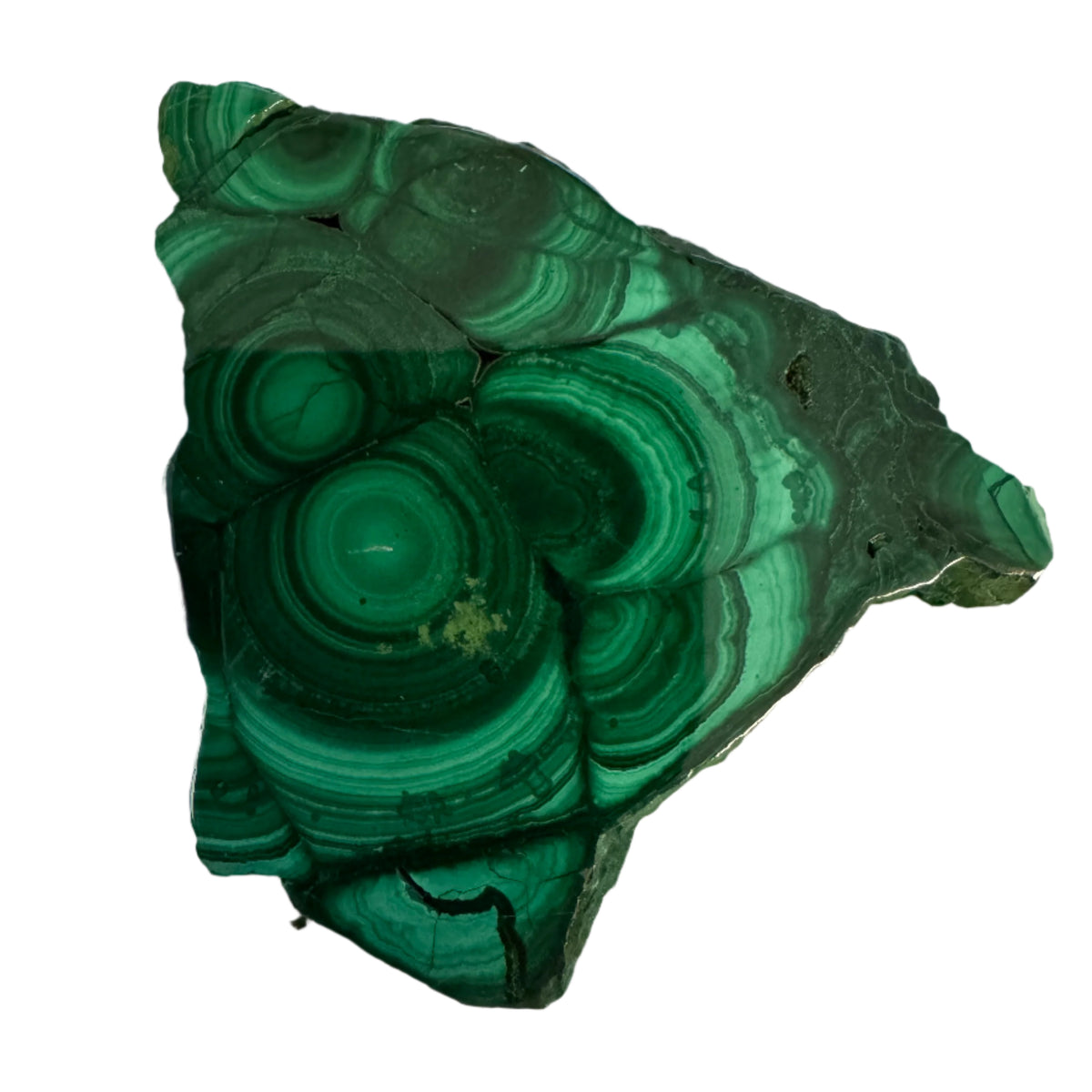Polished Malachite Slice Specimen | Protection & Confidence