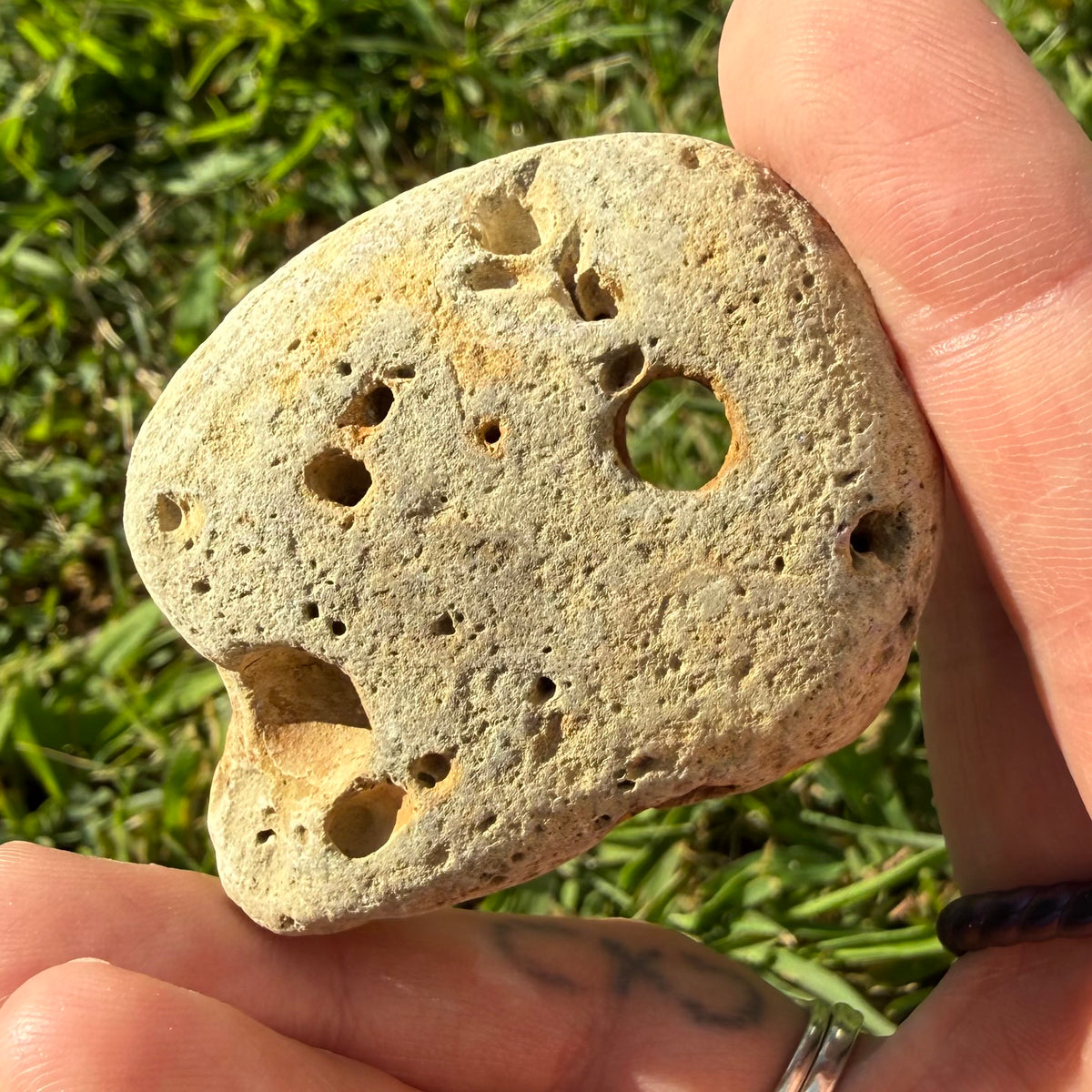 Hag Stone 1" - 4" | Natural Worry & Protection Stone