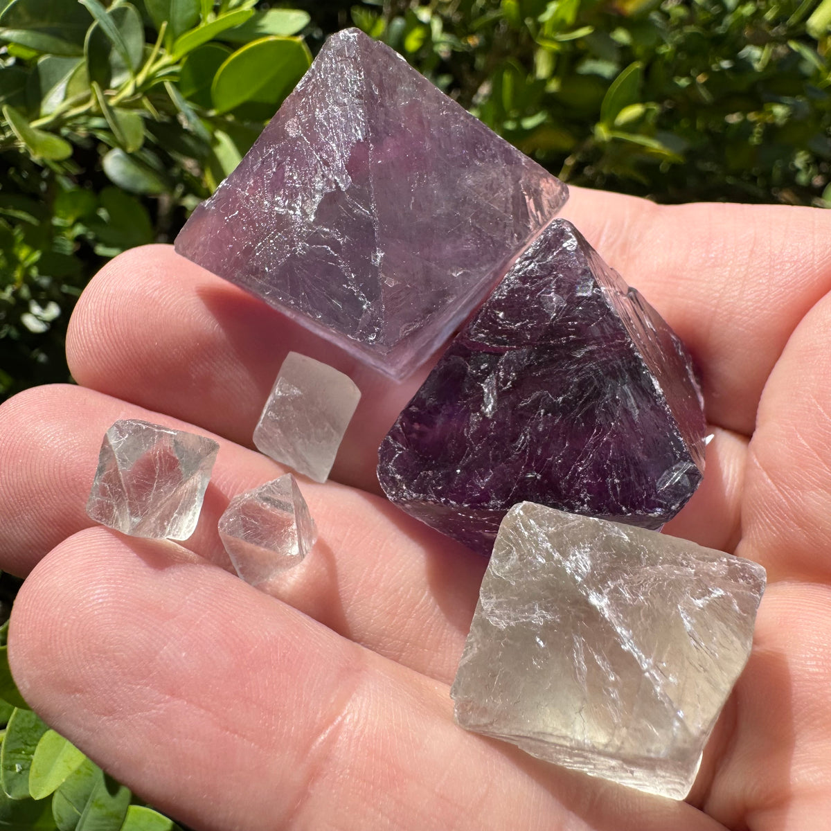 Fluorite Octahedron Natural Gemstone