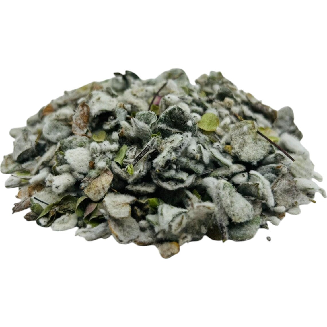 Dittany of Crete 1oz (Origanum dictamnus)