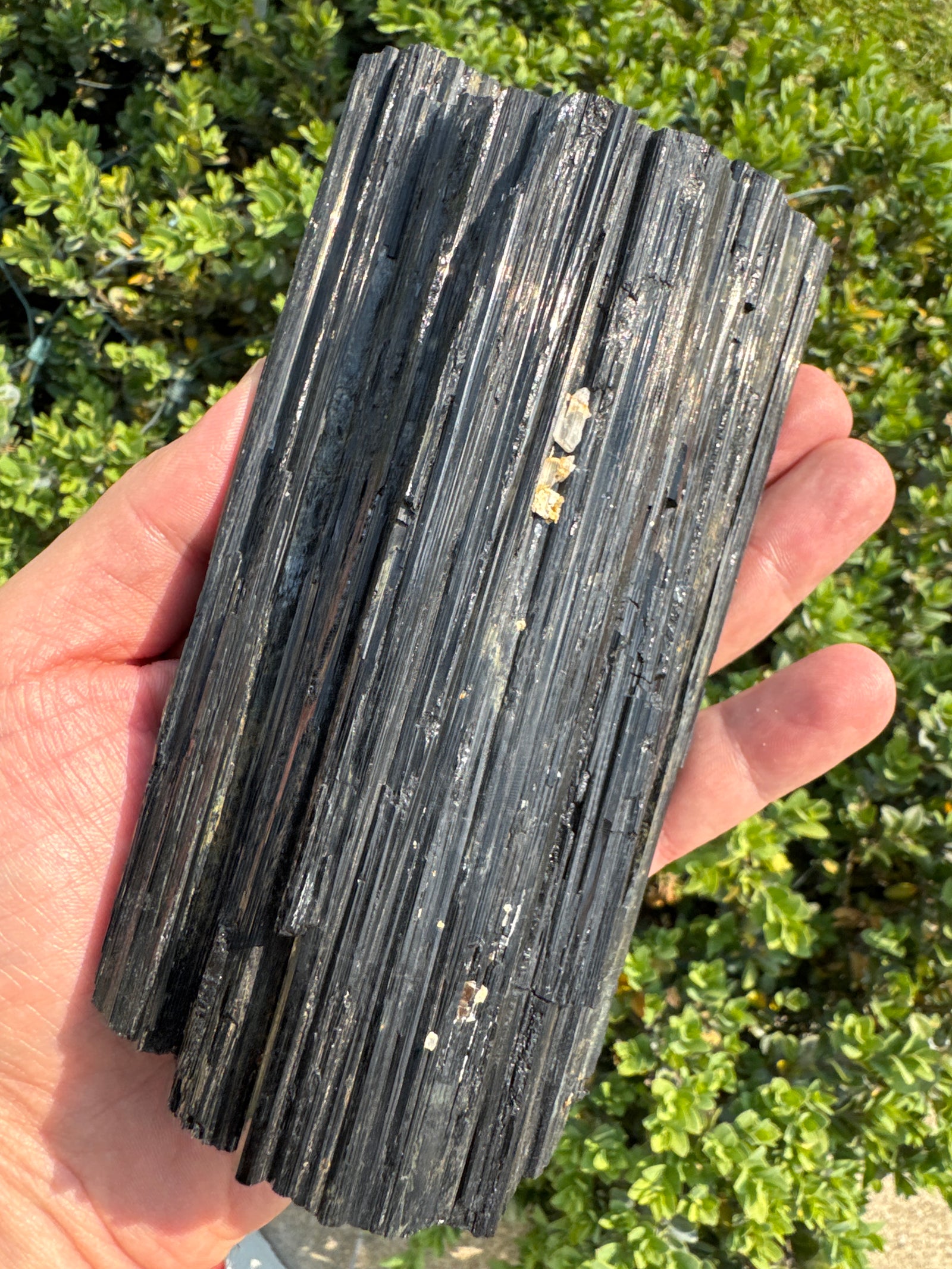 Premium Black Tourmaline Natural Gemstone