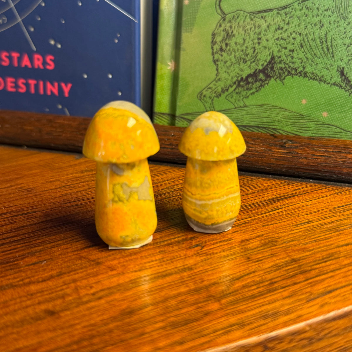 Bumblebee Jasper Polished Gemstone Figurine - Assorted Styles