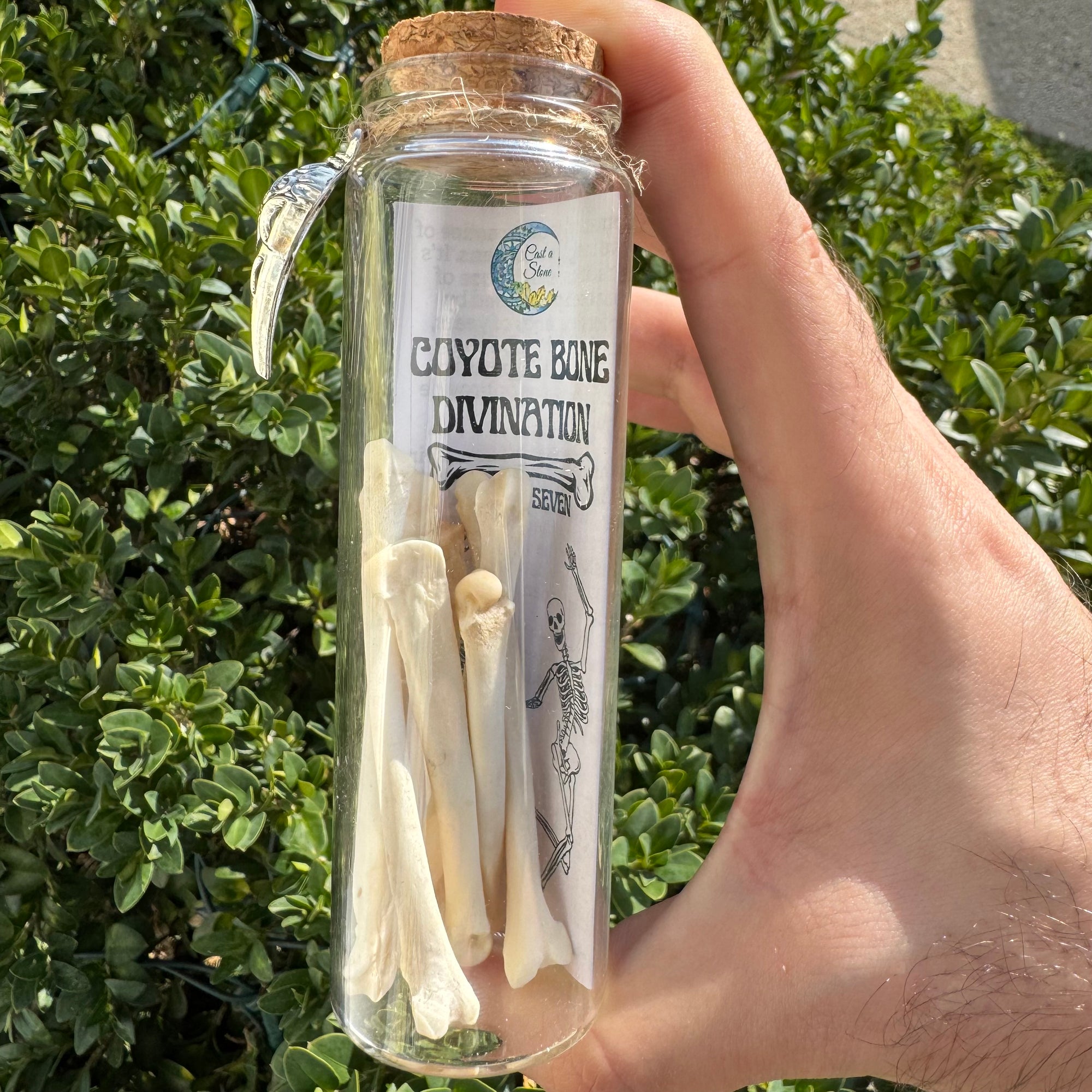 Coyote Bone Divination Set of 7 for Spirit Work & Intuitive Readings