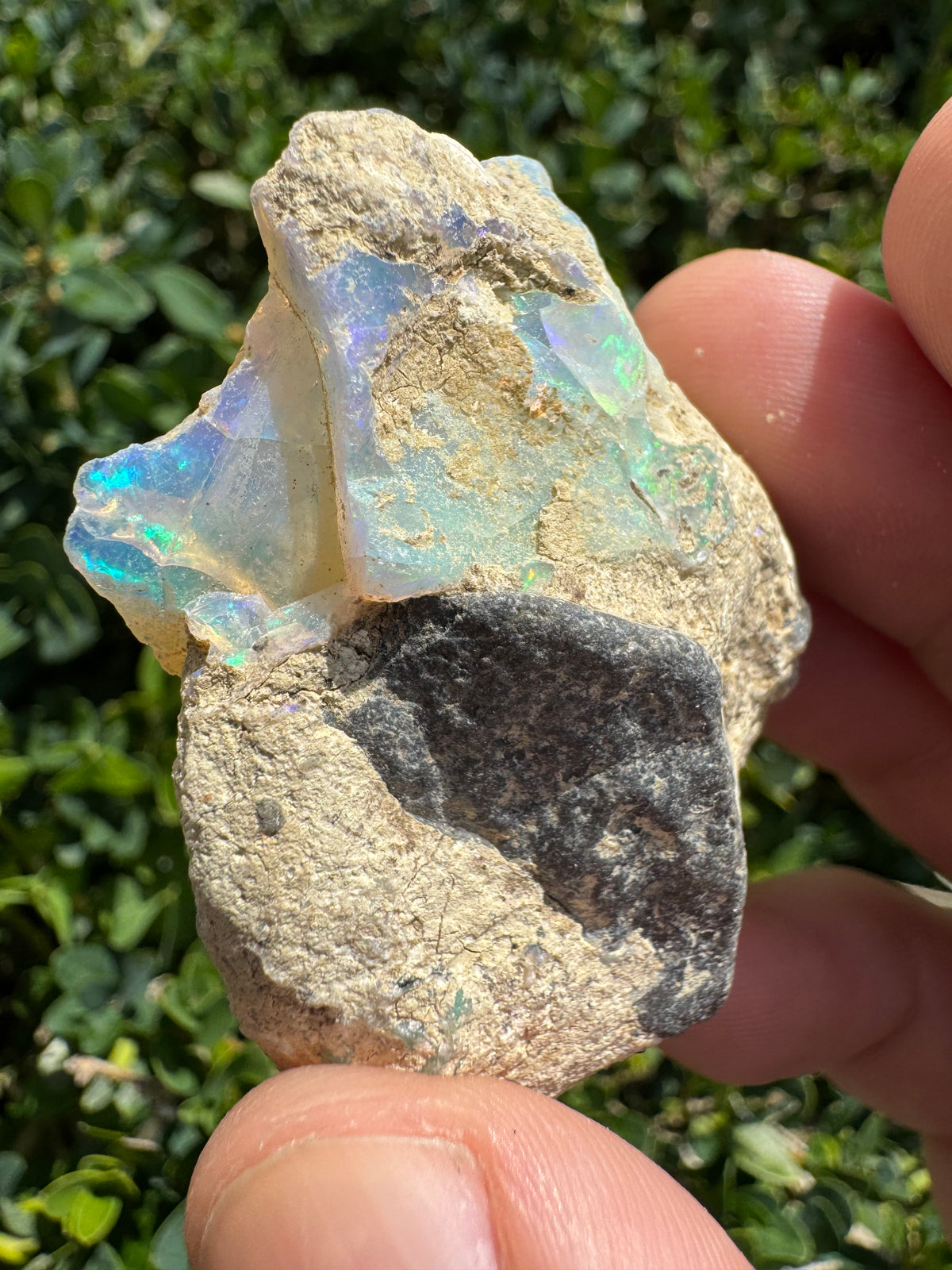 Ethiopian Welo Opal – 170 ct Natural Specimen