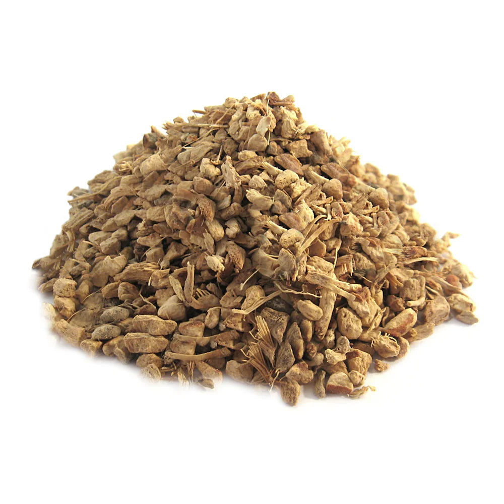 Galangal Root cut "Chewing John" 1oz (Alpinia species)