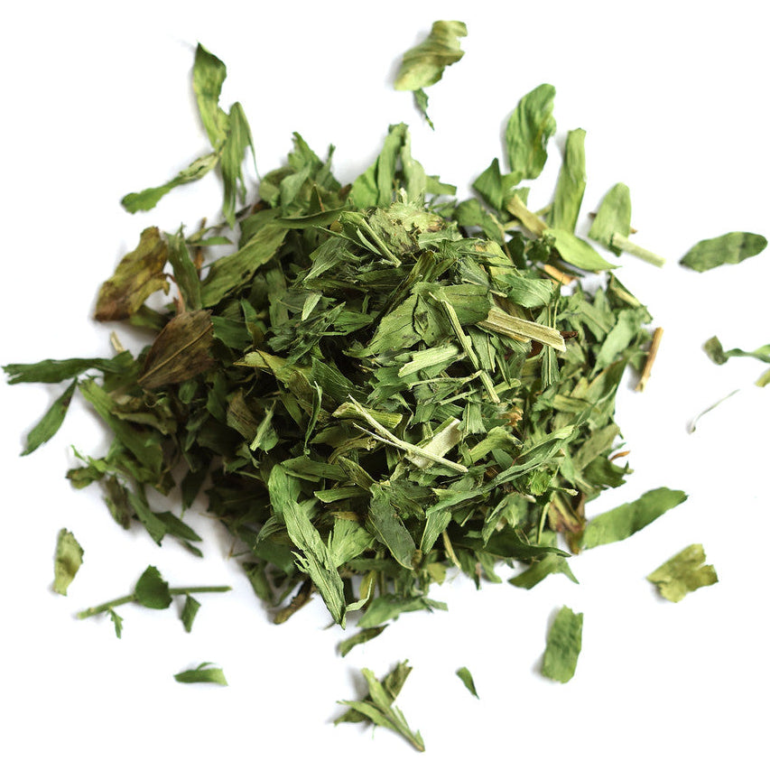 Dried green herbs on a white background