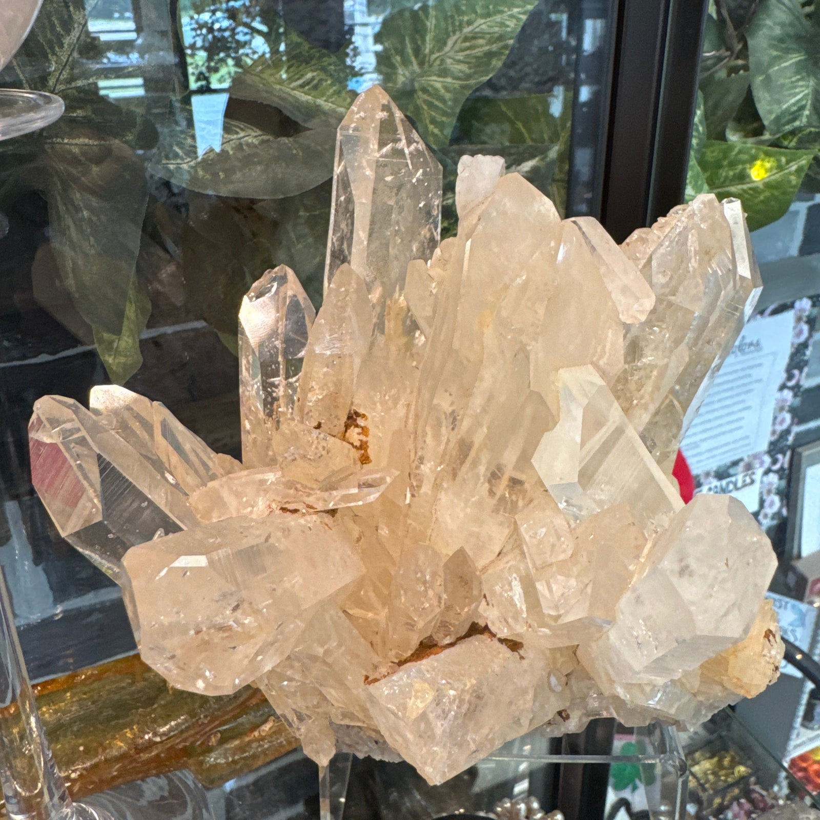 Large Colombian Quartz Cluster