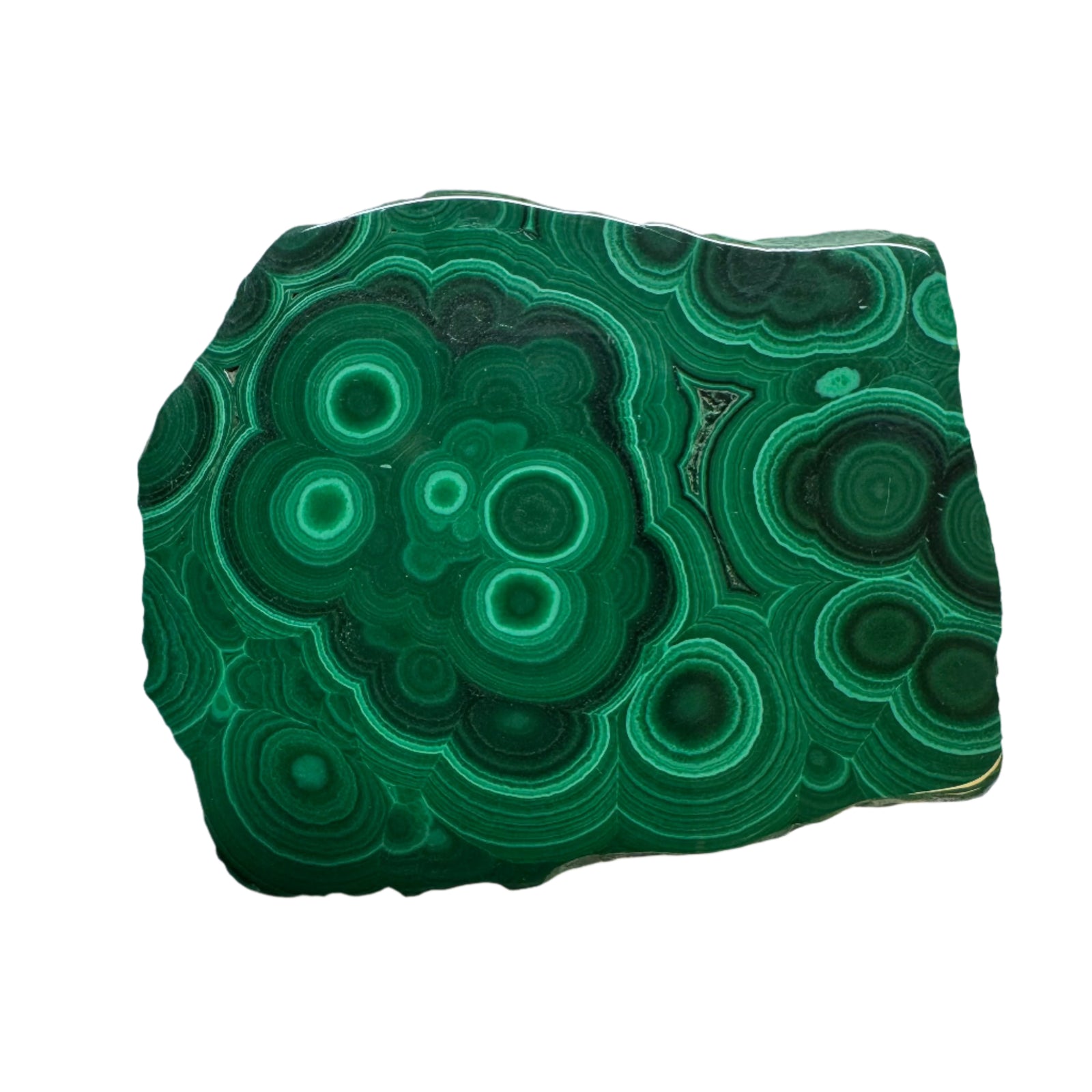 Polished Malachite Slice Specimen | Protection & Confidence
