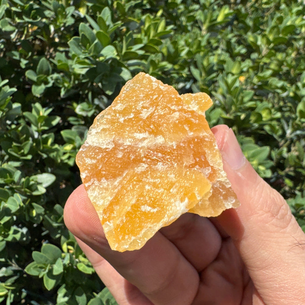 Hand holding a piece of crystalline rock against a green leafy background