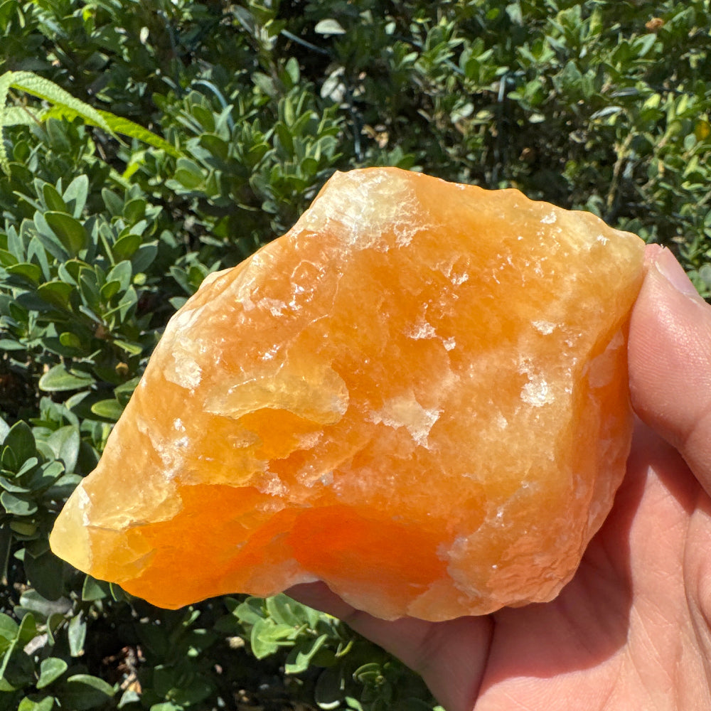 Hand holding a large orange crystal against a green leafy background