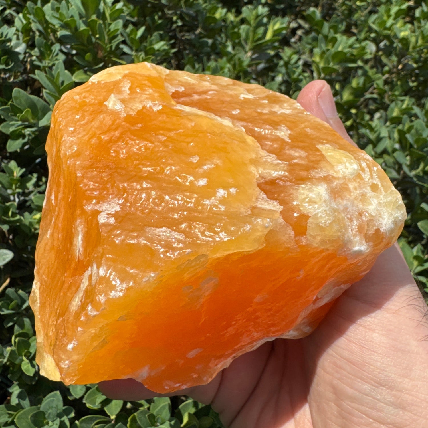 Hand holding a large orange crystal against a green leafy background