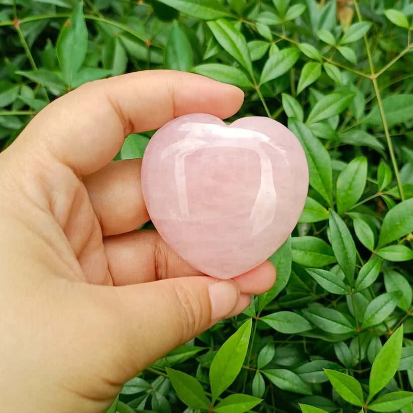 Hand holding a pink crystal ball in front of green foliage