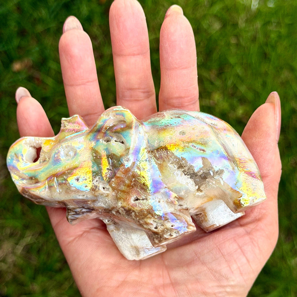 Hand holding a colorful crystal elephant against a grassy background