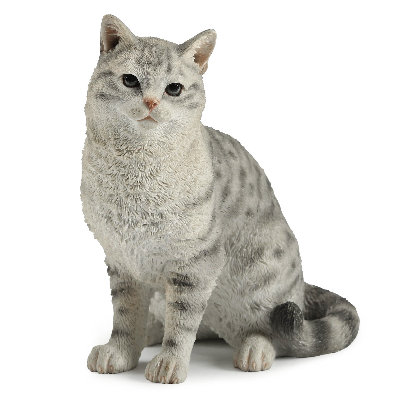 American Shorthair Tabby - Spotted Gray
