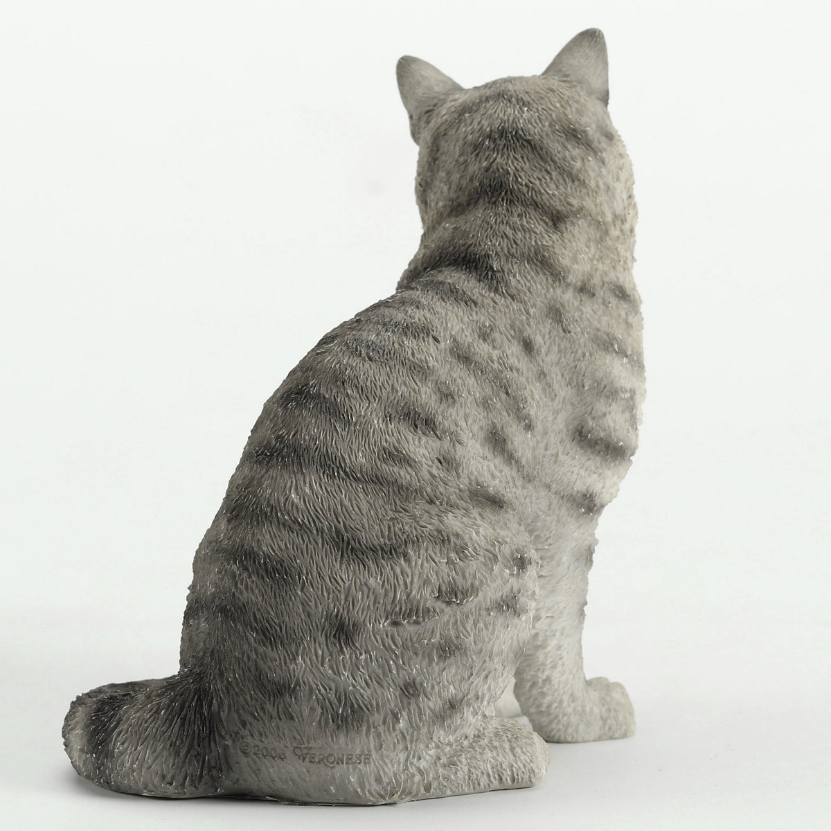 American Shorthair Tabby - Spotted Gray