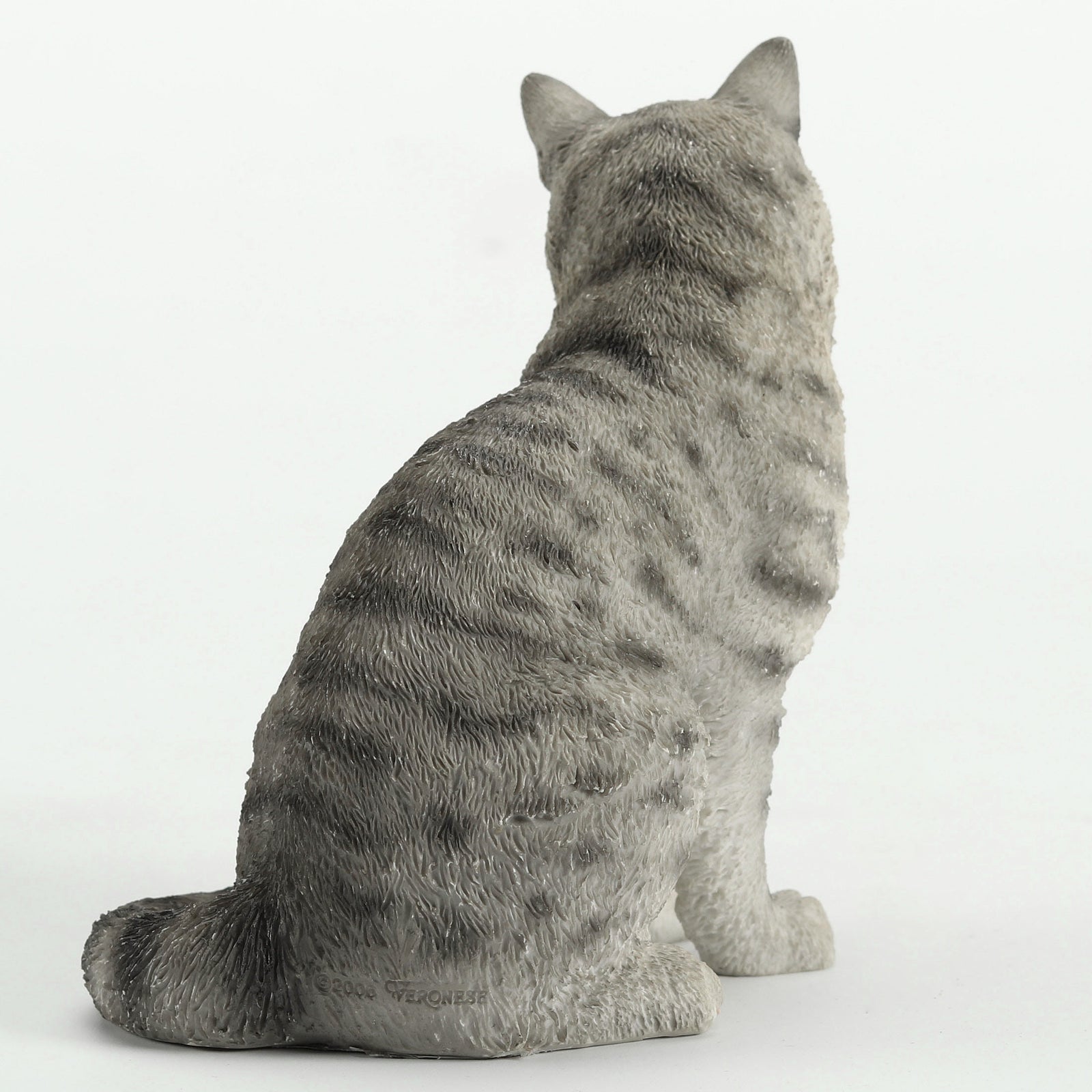 American Shorthair Tabby - Spotted Gray