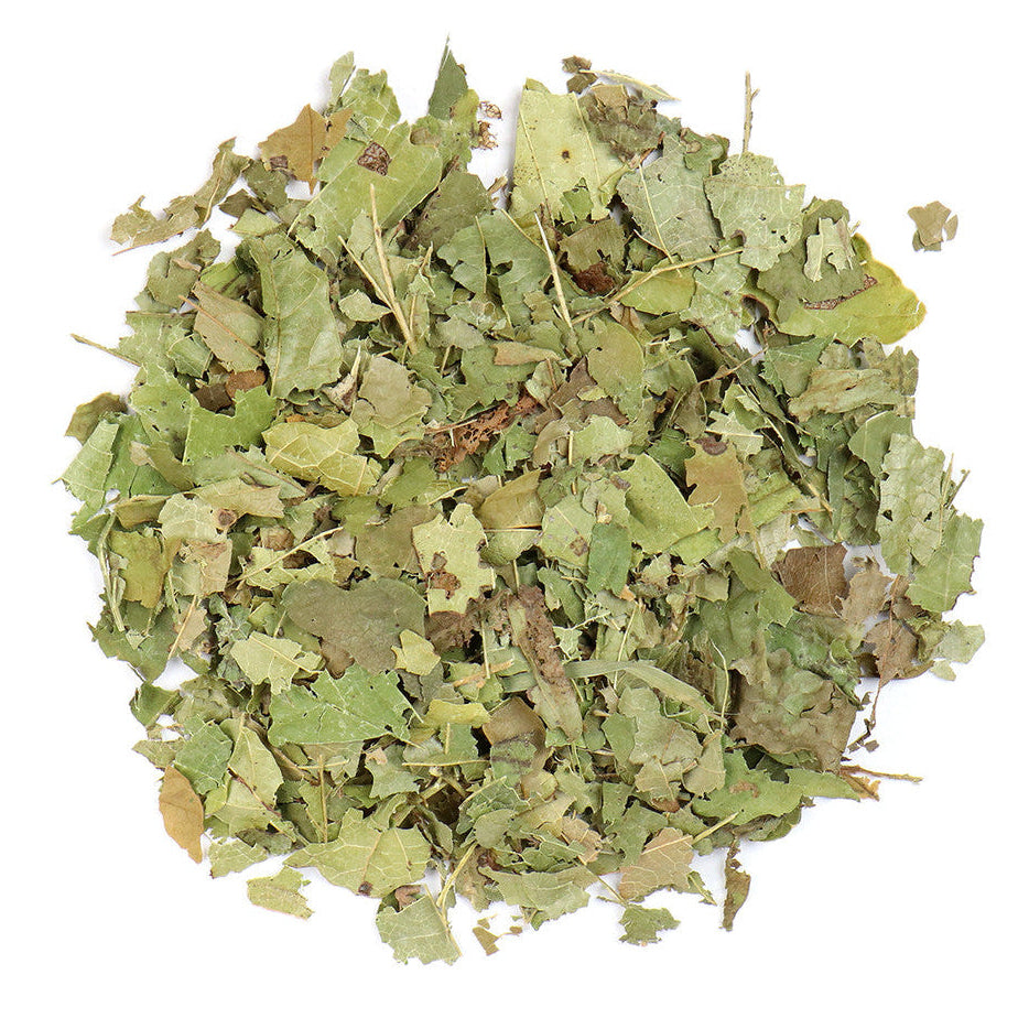 Dried green herbs on a white background