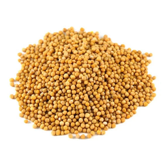 A pile of small round mustard seeds in a warm golden-yellow color, photographed on a plain white background.
