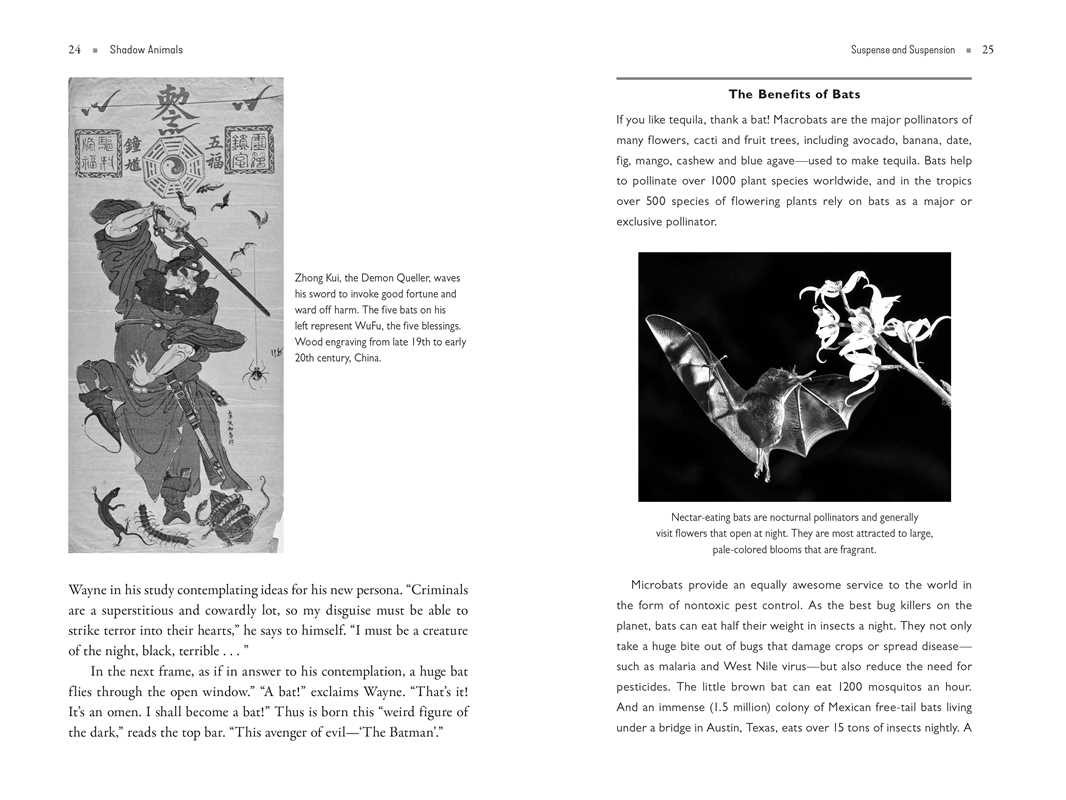 Shadow Animals – Animal Spirit Guides, Shadow Work & Transformative Healing