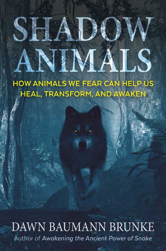 Shadow Animals – Animal Spirit Guides, Shadow Work & Transformative Healing