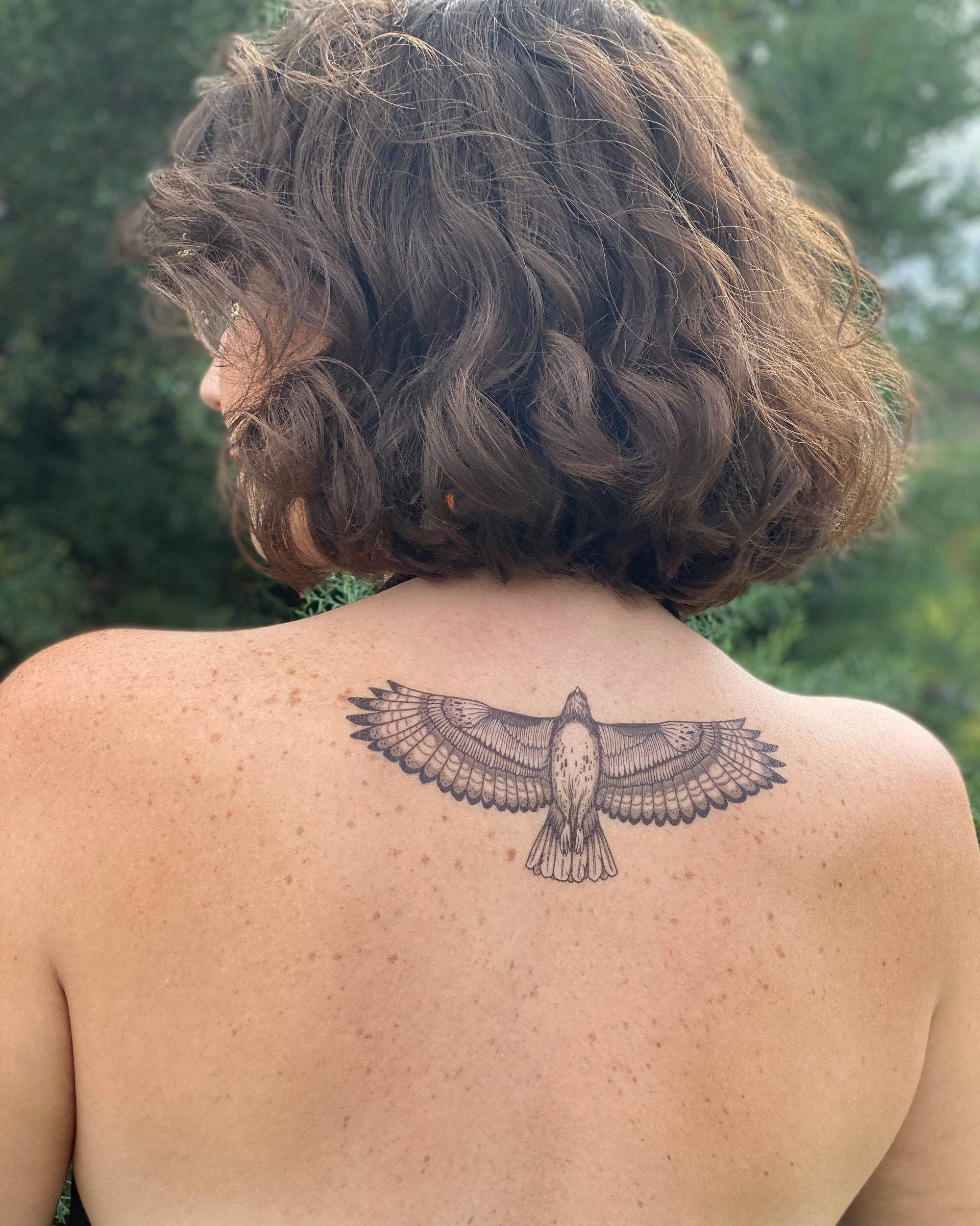 Red-Tailed Hawk Temporary Tattoo