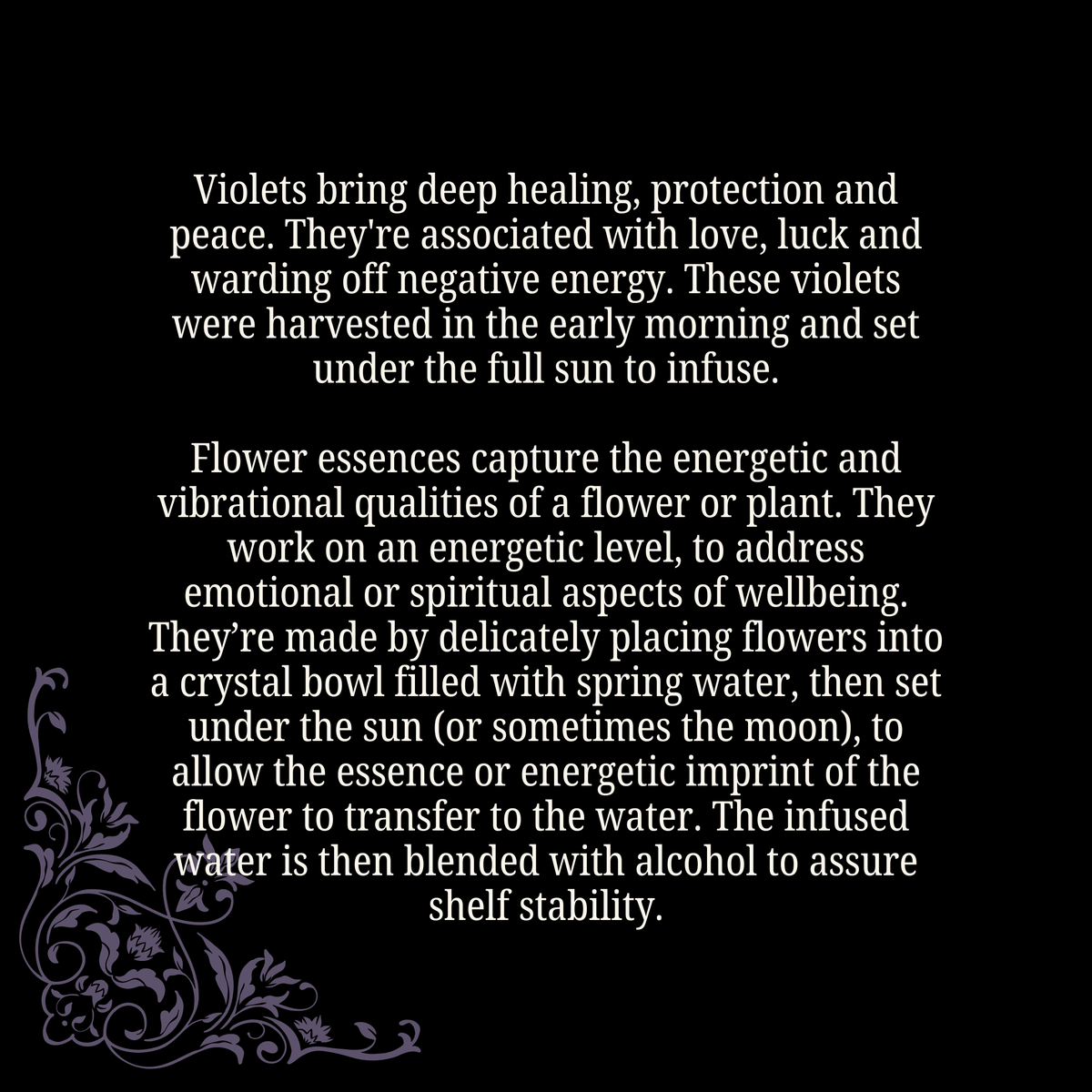 Violet Flower Essence • Protection & Peace for Deep Healing