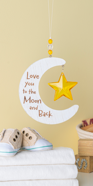 Love You to The Moon and Back Ornament and Star Prism