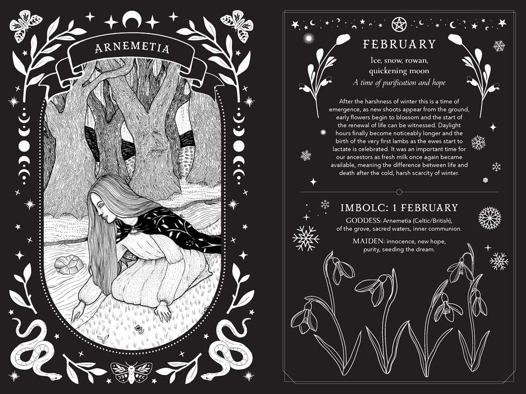 2027 Witch's Diary and Planner Calendar - Northern Hemisphere by Flavia  Kate Peters