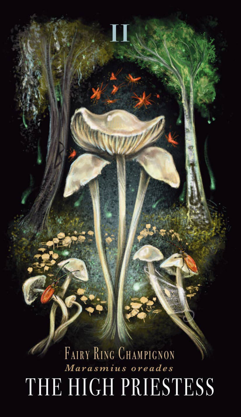 Midnight Magic Tarot by Sara Richard