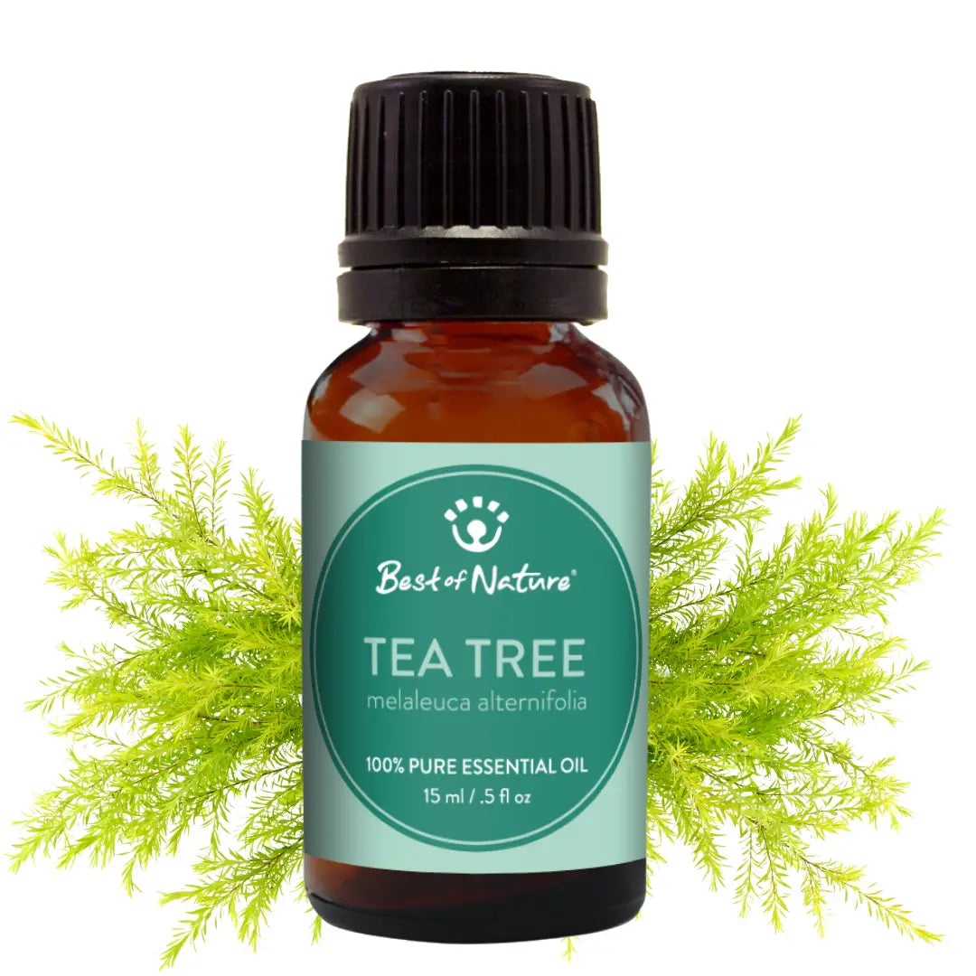 Tea Tree Essential Oil