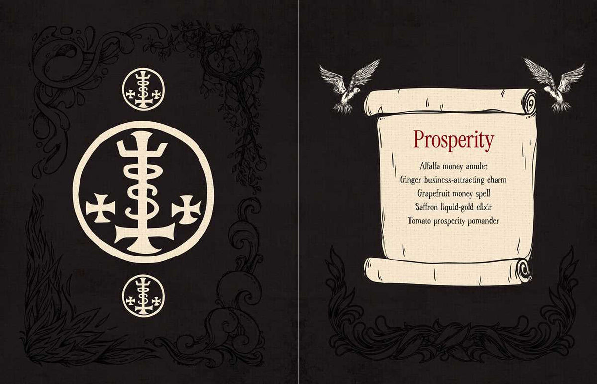 Witch’s Magickal Spellbook – Create Charms, Potions & Plant Magic for Love, Luck &amp; Renewal