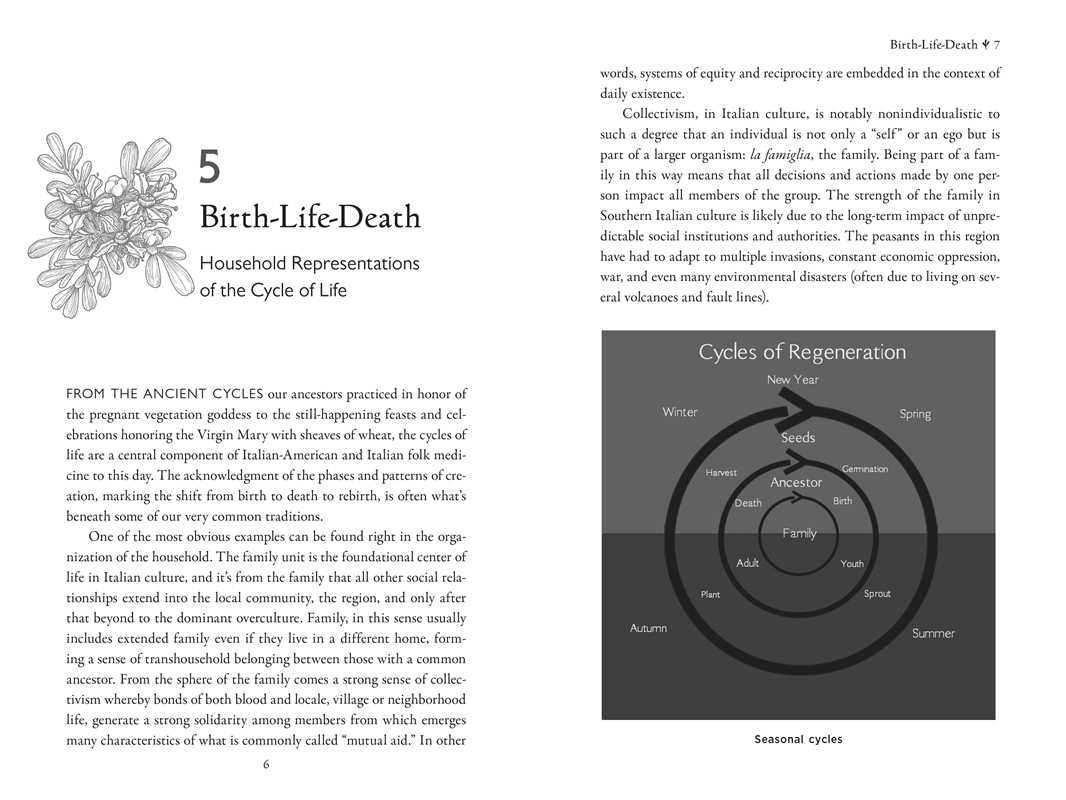 Della Medicina by Lisa Fazio