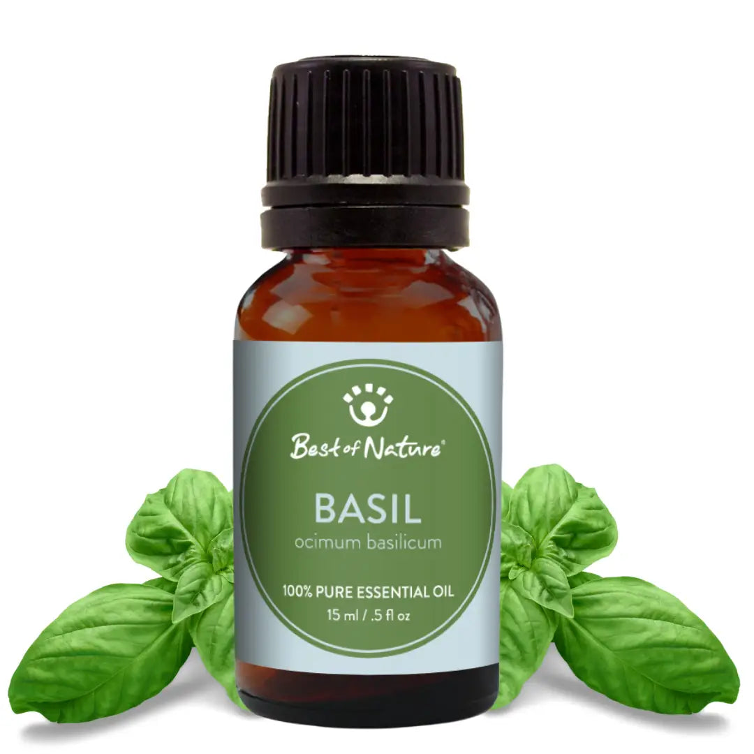 Sweet Basil Essential Oil