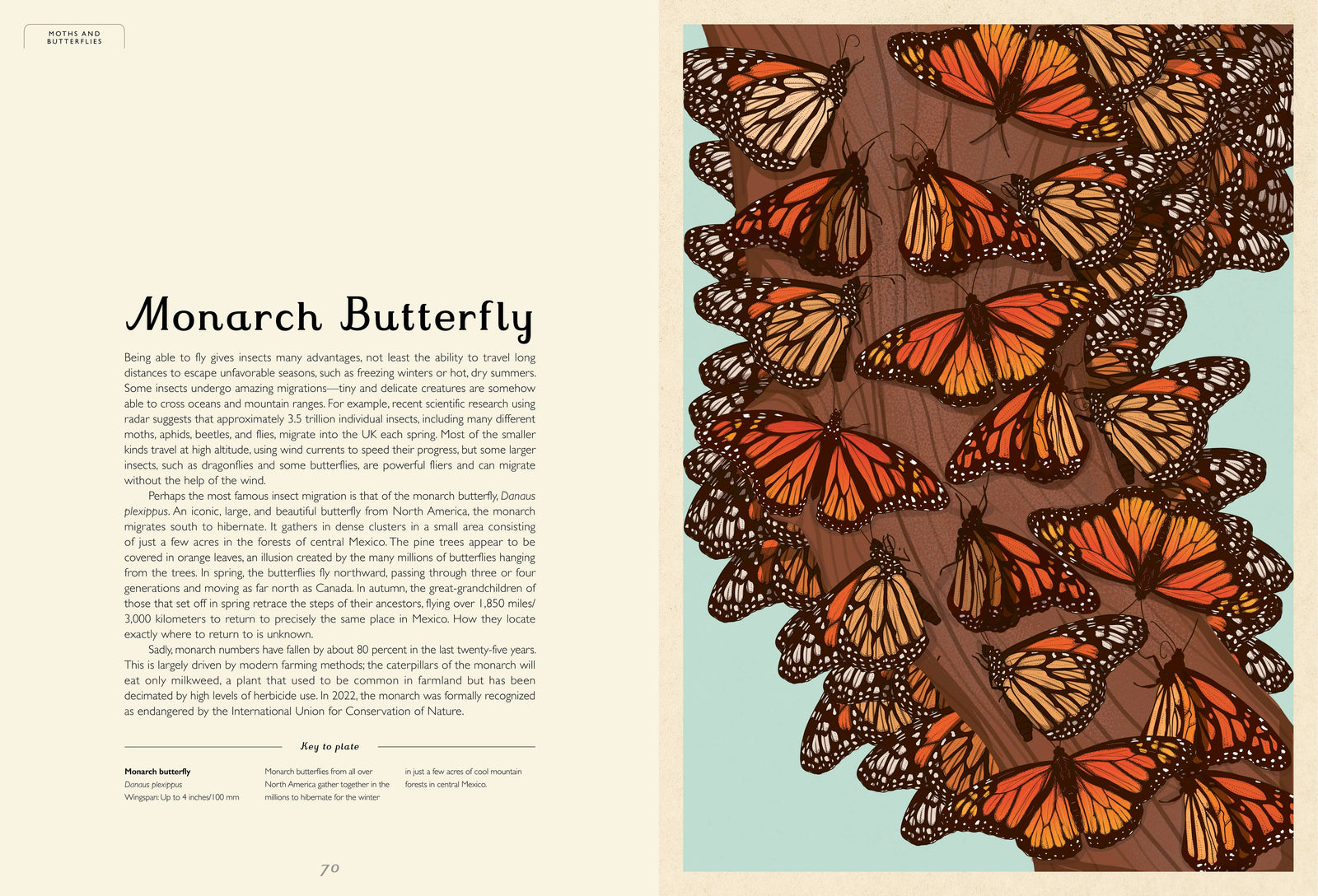 Insectarium: A Captivating Illustrated Guide to the World of Bugs