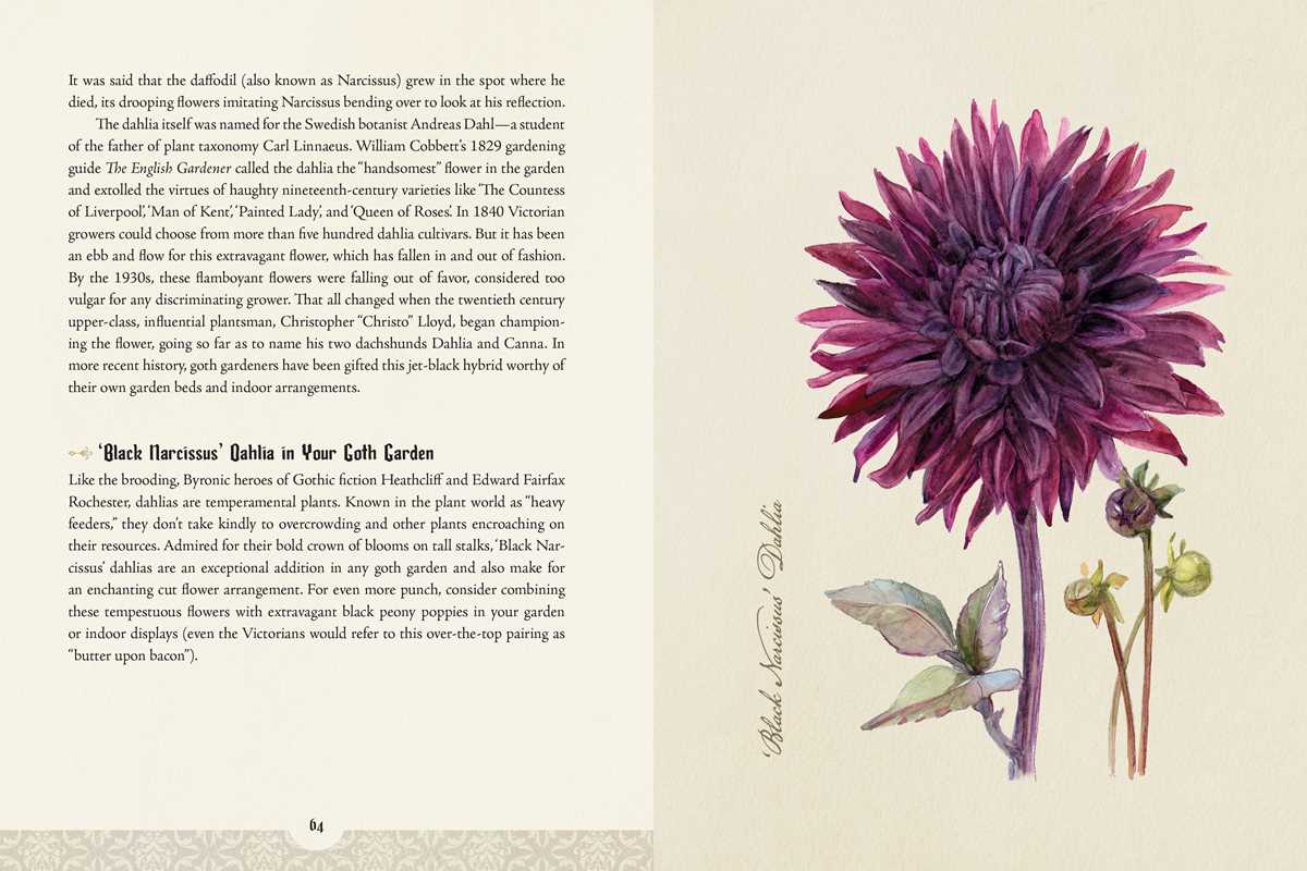 The Goth Garden – Dark Botanical Lore, Gothic Plants & Enchanting Garden Inspiration