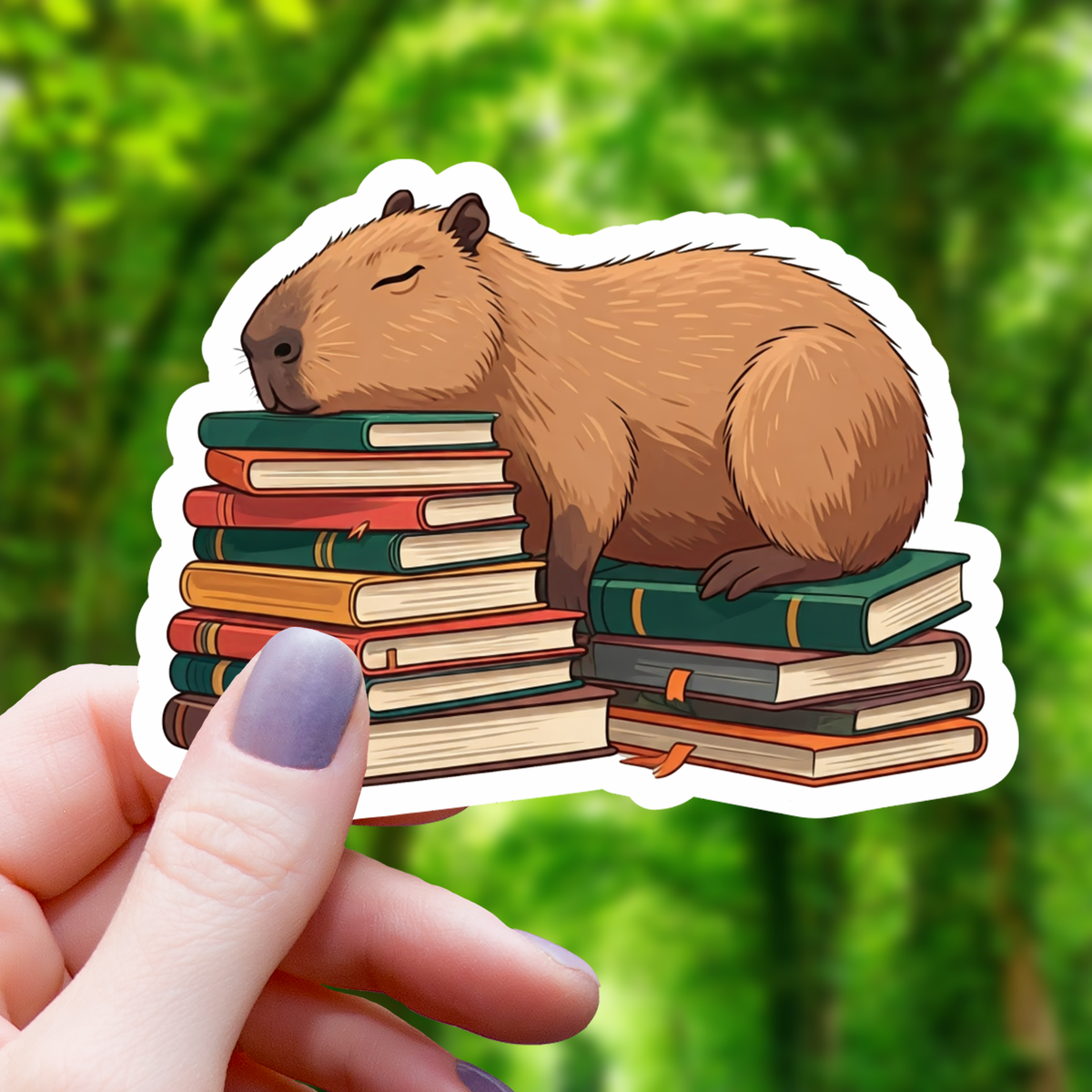 Capybara Sleeping on Books Sticker- 3&quot;