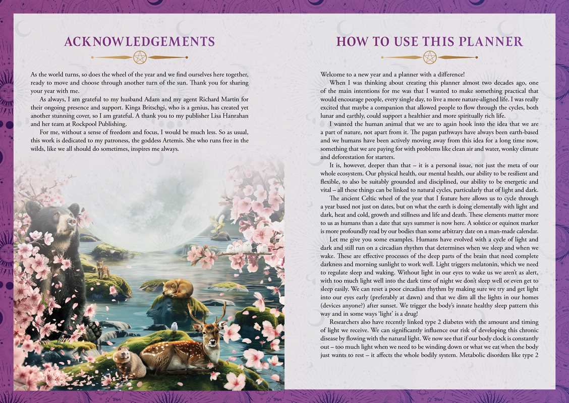 2026 Lunar and Seasonal Planner Calendar: Northern Hemisphere by Stacey  Demarco