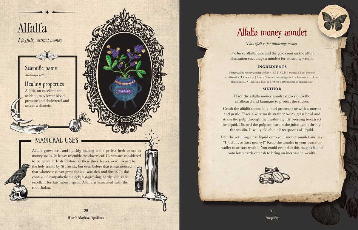 Witch’s Magickal Spellbook – Create Charms, Potions & Plant Magic for Love, Luck &amp; Renewal