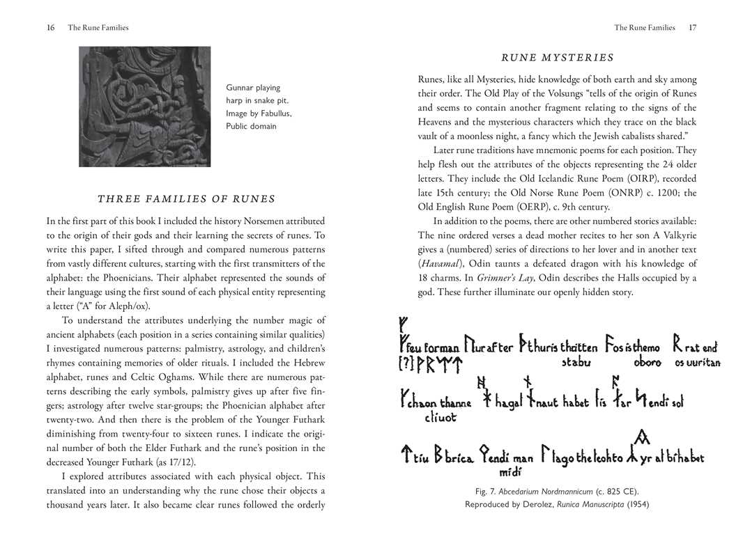 Futhark Rune Mysteries by Judith Dillon