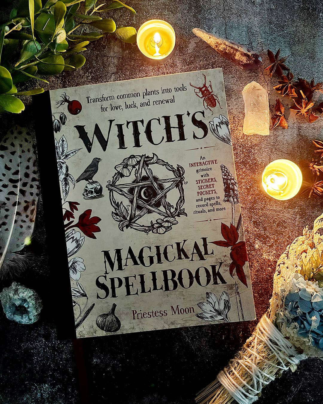 Witch’s Magickal Spellbook – Create Charms, Potions & Plant Magic for Love, Luck &amp; Renewal