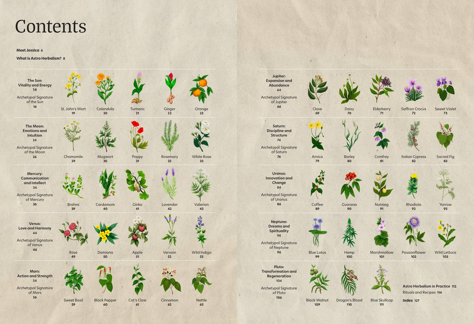 Astro Herbalism