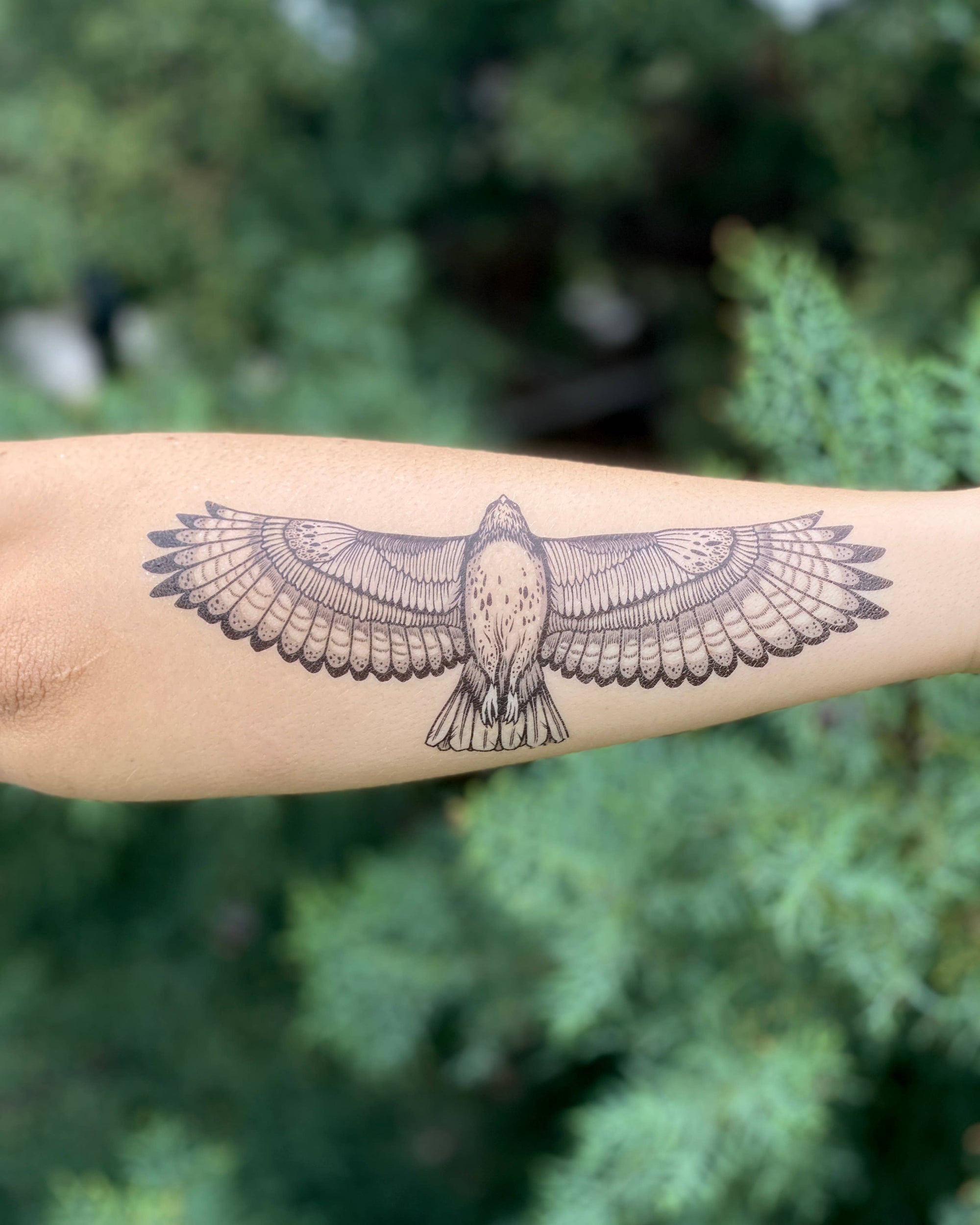 Red-Tailed Hawk Temporary Tattoo