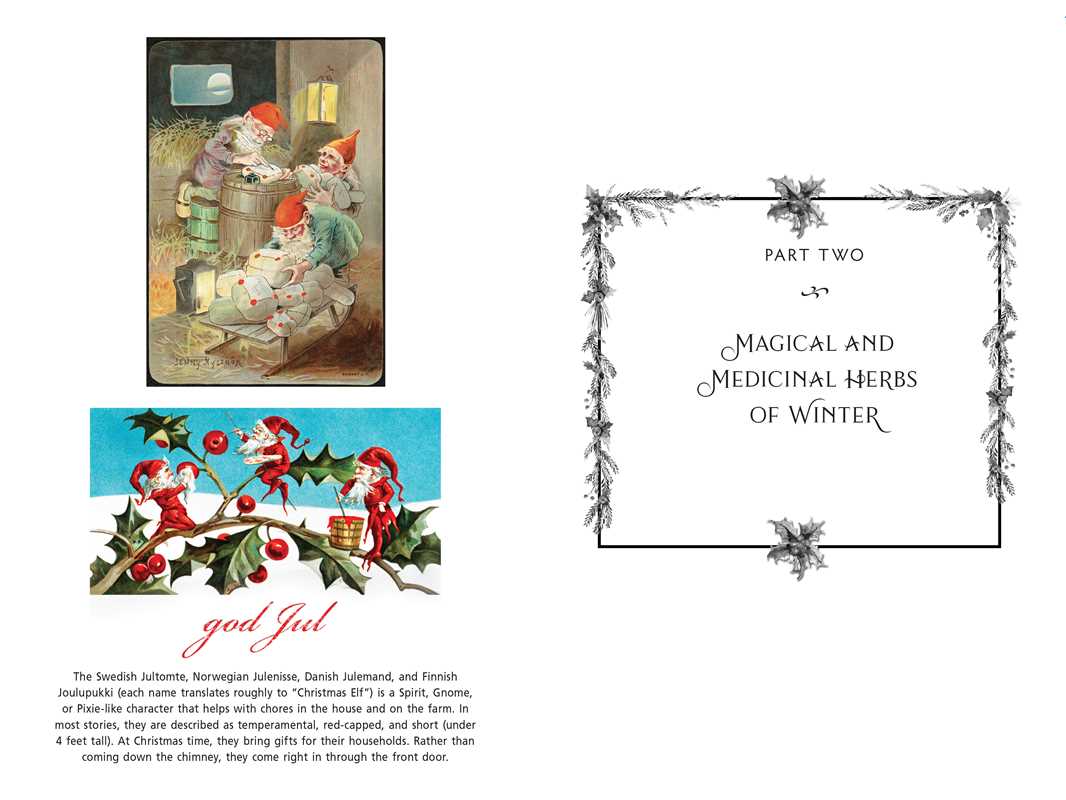 The Sacred Herbs of Yule and Christmas – Herbal Magic, Winter Solstice Rituals & Seasonal Folk Wisdom