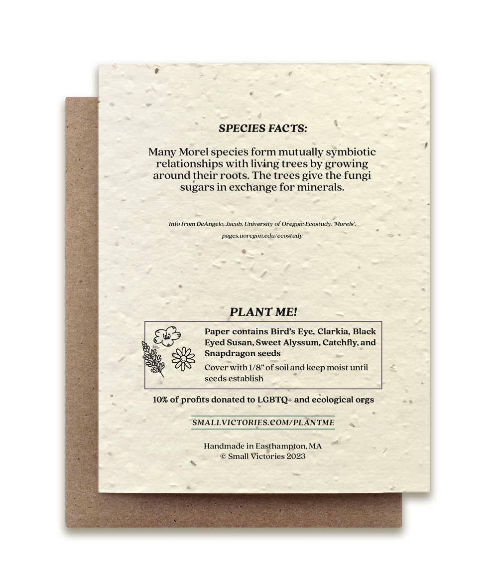 Morel Mushroom Greeting Card - Plantable Seed Paper