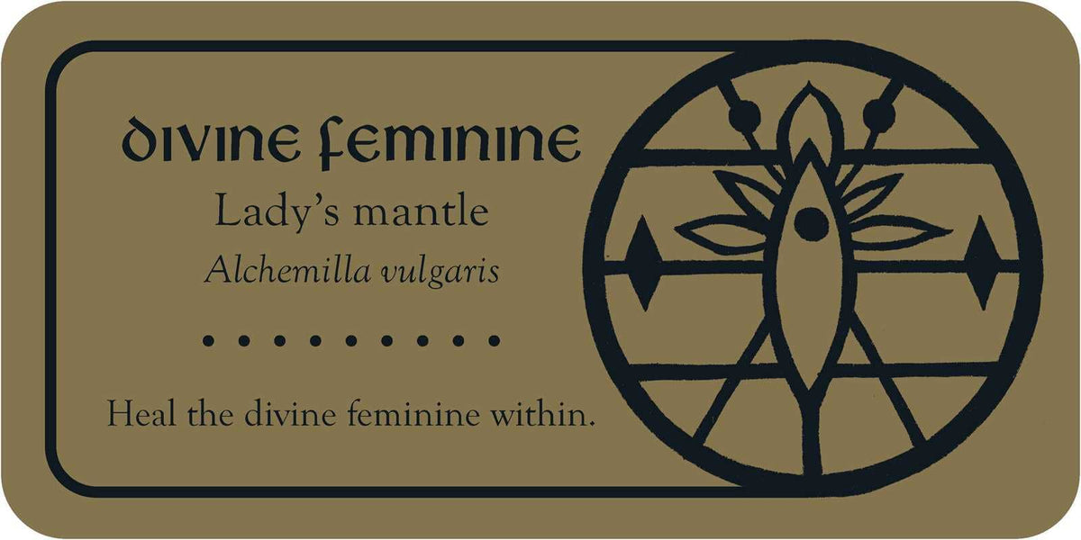 Medieval Herb Sigils by Priestess Moon