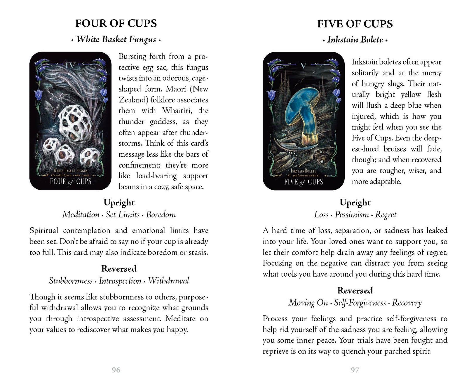 Midnight Magic Tarot by Sara Richard